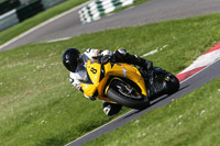 Fast Green/Yellow Bikes