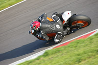 Evening Fast/Inter Red/Orange Bikes