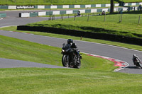 Inter Black/Silver Bikes