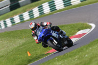 cadwell-no-limits-trackday;cadwell-park;cadwell-park-photographs;cadwell-trackday-photographs;enduro-digital-images;event-digital-images;eventdigitalimages;no-limits-trackdays;peter-wileman-photography;racing-digital-images;trackday-digital-images;trackday-photos