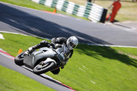 cadwell-no-limits-trackday;cadwell-park;cadwell-park-photographs;cadwell-trackday-photographs;enduro-digital-images;event-digital-images;eventdigitalimages;no-limits-trackdays;peter-wileman-photography;racing-digital-images;trackday-digital-images;trackday-photos