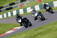 Novice Black/Silver Bikes