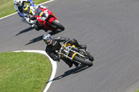 Novice Green/Yellow Bikes