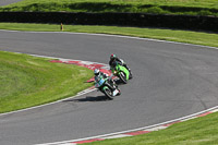 cadwell-no-limits-trackday;cadwell-park;cadwell-park-photographs;cadwell-trackday-photographs;enduro-digital-images;event-digital-images;eventdigitalimages;no-limits-trackdays;peter-wileman-photography;racing-digital-images;trackday-digital-images;trackday-photos