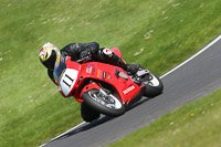 cadwell-no-limits-trackday;cadwell-park;cadwell-park-photographs;cadwell-trackday-photographs;enduro-digital-images;event-digital-images;eventdigitalimages;no-limits-trackdays;peter-wileman-photography;racing-digital-images;trackday-digital-images;trackday-photos