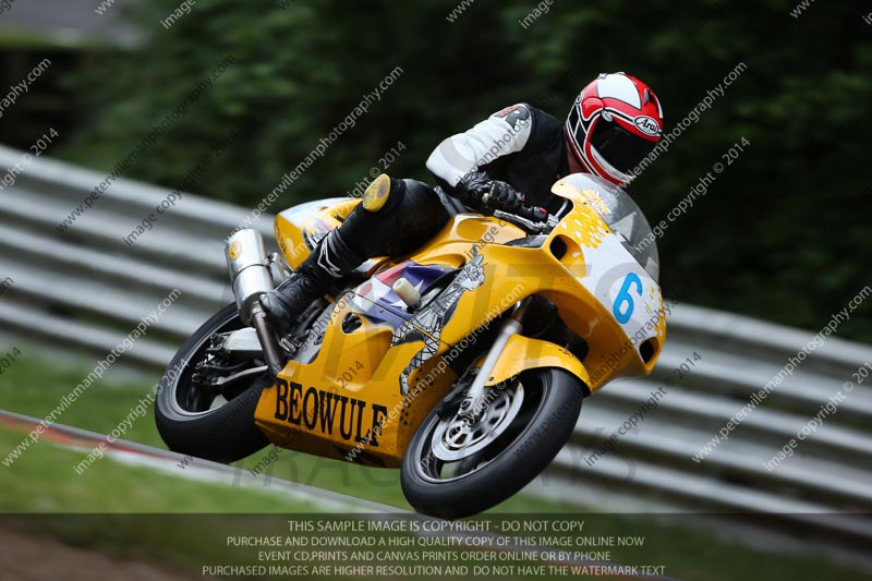 brands hatch photographs;brands no limits trackday;cadwell trackday photographs;enduro digital images;event digital images;eventdigitalimages;no limits trackdays;peter wileman photography;racing digital images;trackday digital images;trackday photos