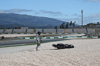 may-2014;motorbikes;no-limits;peter-wileman-photography;portimao;portugal;trackday;trackday-digital-images