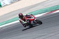 may-2014;motorbikes;no-limits;peter-wileman-photography;portimao;portugal;trackday;trackday-digital-images