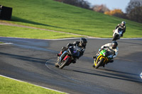 anglesey;brands-hatch;cadwell-park;croft;donington-park;enduro-digital-images;event-digital-images;eventdigitalimages;mallory;no-limits;oulton-park;peter-wileman-photography;racing-digital-images;silverstone;snetterton;trackday-digital-images;trackday-photos;vmcc-banbury-run;welsh-2-day-enduro