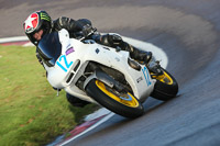 anglesey;brands-hatch;cadwell-park;croft;donington-park;enduro-digital-images;event-digital-images;eventdigitalimages;mallory;no-limits;oulton-park;peter-wileman-photography;racing-digital-images;silverstone;snetterton;trackday-digital-images;trackday-photos;vmcc-banbury-run;welsh-2-day-enduro