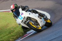 anglesey;brands-hatch;cadwell-park;croft;donington-park;enduro-digital-images;event-digital-images;eventdigitalimages;mallory;no-limits;oulton-park;peter-wileman-photography;racing-digital-images;silverstone;snetterton;trackday-digital-images;trackday-photos;vmcc-banbury-run;welsh-2-day-enduro