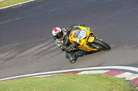anglesey;brands-hatch;cadwell-park;croft;donington-park;enduro-digital-images;event-digital-images;eventdigitalimages;mallory;no-limits;oulton-park;peter-wileman-photography;racing-digital-images;silverstone;snetterton;trackday-digital-images;trackday-photos;vmcc-banbury-run;welsh-2-day-enduro