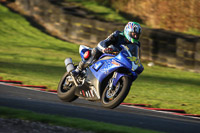 anglesey;brands-hatch;cadwell-park;croft;donington-park;enduro-digital-images;event-digital-images;eventdigitalimages;mallory;no-limits;oulton-park;peter-wileman-photography;racing-digital-images;silverstone;snetterton;trackday-digital-images;trackday-photos;vmcc-banbury-run;welsh-2-day-enduro