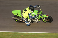 anglesey;brands-hatch;cadwell-park;croft;donington-park;enduro-digital-images;event-digital-images;eventdigitalimages;mallory;no-limits;oulton-park;peter-wileman-photography;racing-digital-images;silverstone;snetterton;trackday-digital-images;trackday-photos;vmcc-banbury-run;welsh-2-day-enduro