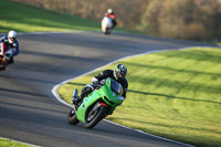 Novice Green/Yellow Bikes