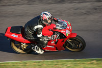 anglesey;brands-hatch;cadwell-park;croft;donington-park;enduro-digital-images;event-digital-images;eventdigitalimages;mallory;no-limits;oulton-park;peter-wileman-photography;racing-digital-images;silverstone;snetterton;trackday-digital-images;trackday-photos;vmcc-banbury-run;welsh-2-day-enduro