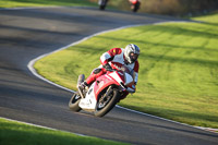 anglesey;brands-hatch;cadwell-park;croft;donington-park;enduro-digital-images;event-digital-images;eventdigitalimages;mallory;no-limits;oulton-park;peter-wileman-photography;racing-digital-images;silverstone;snetterton;trackday-digital-images;trackday-photos;vmcc-banbury-run;welsh-2-day-enduro