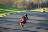anglesey;brands-hatch;cadwell-park;croft;donington-park;enduro-digital-images;event-digital-images;eventdigitalimages;mallory;no-limits;oulton-park;peter-wileman-photography;racing-digital-images;silverstone;snetterton;trackday-digital-images;trackday-photos;vmcc-banbury-run;welsh-2-day-enduro