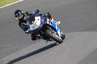 anglesey;brands-hatch;cadwell-park;croft;donington-park;enduro-digital-images;event-digital-images;eventdigitalimages;mallory;no-limits;oulton-park;peter-wileman-photography;racing-digital-images;silverstone;snetterton;trackday-digital-images;trackday-photos;vmcc-banbury-run;welsh-2-day-enduro