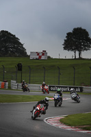 anglesey;brands-hatch;cadwell-park;croft;donington-park;enduro-digital-images;event-digital-images;eventdigitalimages;mallory;no-limits;oulton-park;peter-wileman-photography;racing-digital-images;silverstone;snetterton;trackday-digital-images;trackday-photos;vmcc-banbury-run;welsh-2-day-enduro