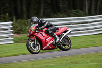 anglesey;brands-hatch;cadwell-park;croft;donington-park;enduro-digital-images;event-digital-images;eventdigitalimages;mallory;no-limits;oulton-park;peter-wileman-photography;racing-digital-images;silverstone;snetterton;trackday-digital-images;trackday-photos;vmcc-banbury-run;welsh-2-day-enduro