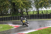 Fast Green/Yellow Bikes