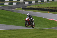 Novice Multicolour Bikes