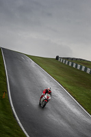 Novice Black/Silver Bikes