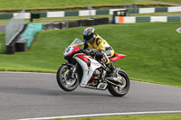 INTER MULTICOLOUR BIKES