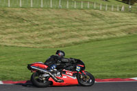 NOVICE MULTICOLOUR BIKES