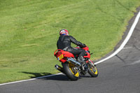 cadwell-no-limits-trackday;cadwell-park;cadwell-park-photographs;cadwell-trackday-photographs;enduro-digital-images;event-digital-images;eventdigitalimages;no-limits-trackdays;peter-wileman-photography;racing-digital-images;trackday-digital-images;trackday-photos