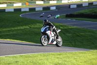 Fast Blue/White Bikes