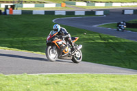 Fast Multicolour Bikes