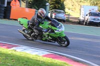 Novice Green/Yellow Bikes