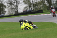 Novice Green/Yellow Bikes