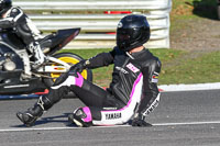 brands-hatch-photographs;brands-no-limits-trackday;cadwell-trackday-photographs;enduro-digital-images;event-digital-images;eventdigitalimages;no-limits-trackdays;peter-wileman-photography;racing-digital-images;trackday-digital-images;trackday-photos