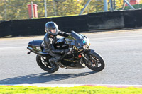 brands-hatch-photographs;brands-no-limits-trackday;cadwell-trackday-photographs;enduro-digital-images;event-digital-images;eventdigitalimages;no-limits-trackdays;peter-wileman-photography;racing-digital-images;trackday-digital-images;trackday-photos