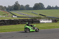 Fast Green/Yellow Bikes