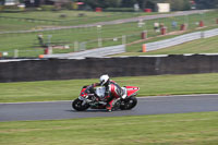 Fast Multicolour Bikes