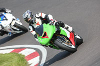 Novice Green/Yellow Bikes