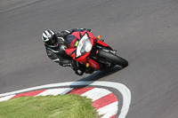 anglesey;brands-hatch;cadwell-park;croft;donington-park;enduro-digital-images;event-digital-images;eventdigitalimages;mallory;no-limits;oulton-park;peter-wileman-photography;racing-digital-images;silverstone;snetterton;trackday-digital-images;trackday-photos;vmcc-banbury-run;welsh-2-day-enduro
