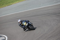 Novice Multicolour Bikes