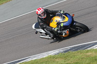 Novice Multicolour Bikes