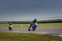 anglesey-no-limits-trackday;anglesey-photographs;anglesey-trackday-photographs;enduro-digital-images;event-digital-images;eventdigitalimages;no-limits-trackdays;peter-wileman-photography;racing-digital-images;trac-mon;trackday-digital-images;trackday-photos;ty-croes