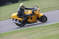 Novice Green/Yellow Bikes