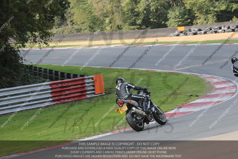 brands hatch photographs;brands no limits trackday;cadwell trackday photographs;enduro digital images;event digital images;eventdigitalimages;no limits trackdays;peter wileman photography;racing digital images;trackday digital images;trackday photos