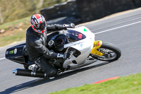 brands-hatch-photographs;brands-no-limits-trackday;cadwell-trackday-photographs;enduro-digital-images;event-digital-images;eventdigitalimages;no-limits-trackdays;peter-wileman-photography;racing-digital-images;trackday-digital-images;trackday-photos