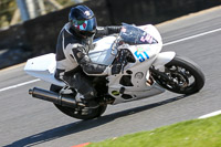 brands-hatch-photographs;brands-no-limits-trackday;cadwell-trackday-photographs;enduro-digital-images;event-digital-images;eventdigitalimages;no-limits-trackdays;peter-wileman-photography;racing-digital-images;trackday-digital-images;trackday-photos
