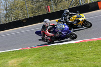 brands-hatch-photographs;brands-no-limits-trackday;cadwell-trackday-photographs;enduro-digital-images;event-digital-images;eventdigitalimages;no-limits-trackdays;peter-wileman-photography;racing-digital-images;trackday-digital-images;trackday-photos