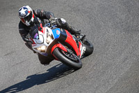 Inter Group 1 Multicolour Bikes